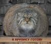 post-12992-1229671843_thumb.jpg